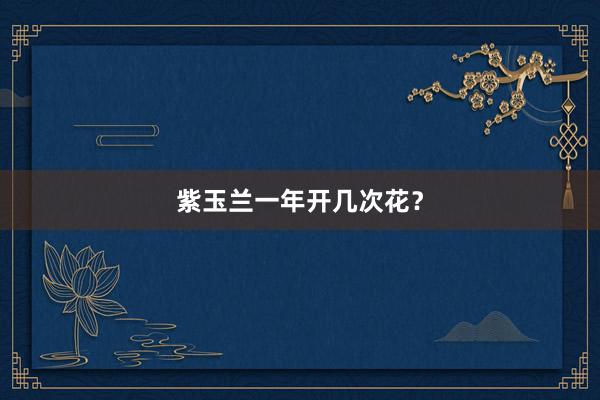 紫玉兰一年开几次花？