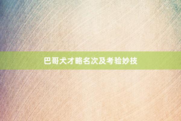 巴哥犬才略名次及考验妙技