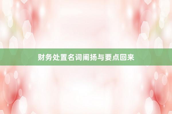 财务处置名词阐扬与要点回来